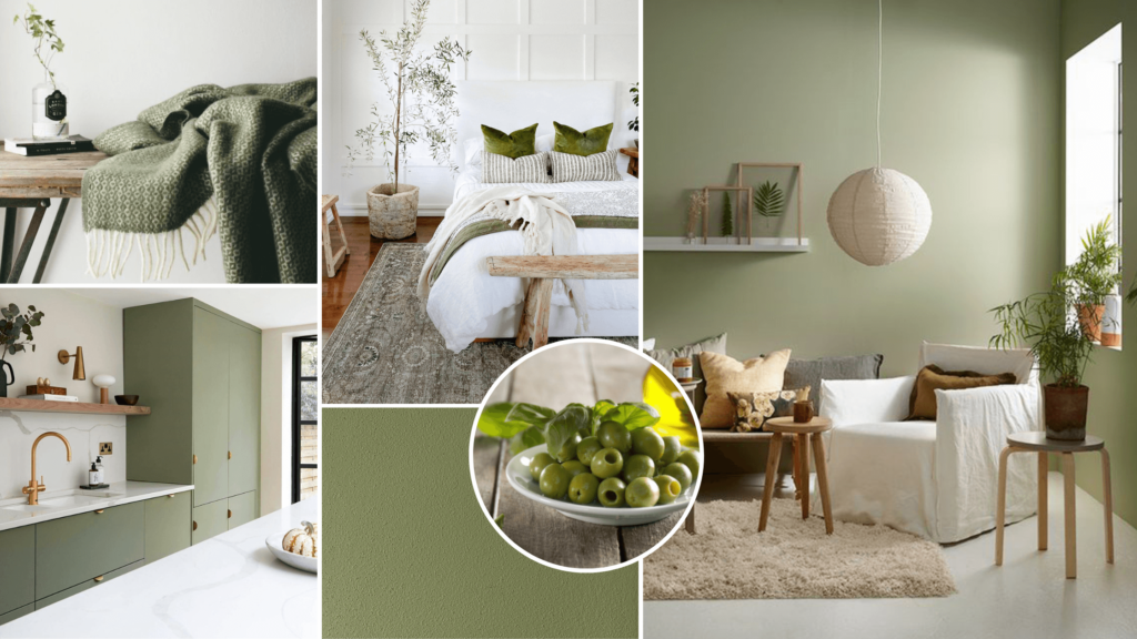 moodboard_verde_oliva